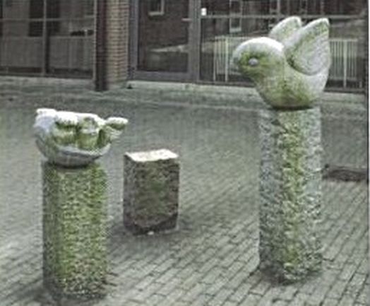 Stenfugl og skildpadde