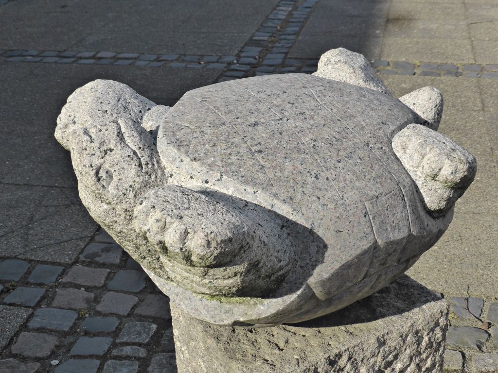 Stenfugl og skildpadde